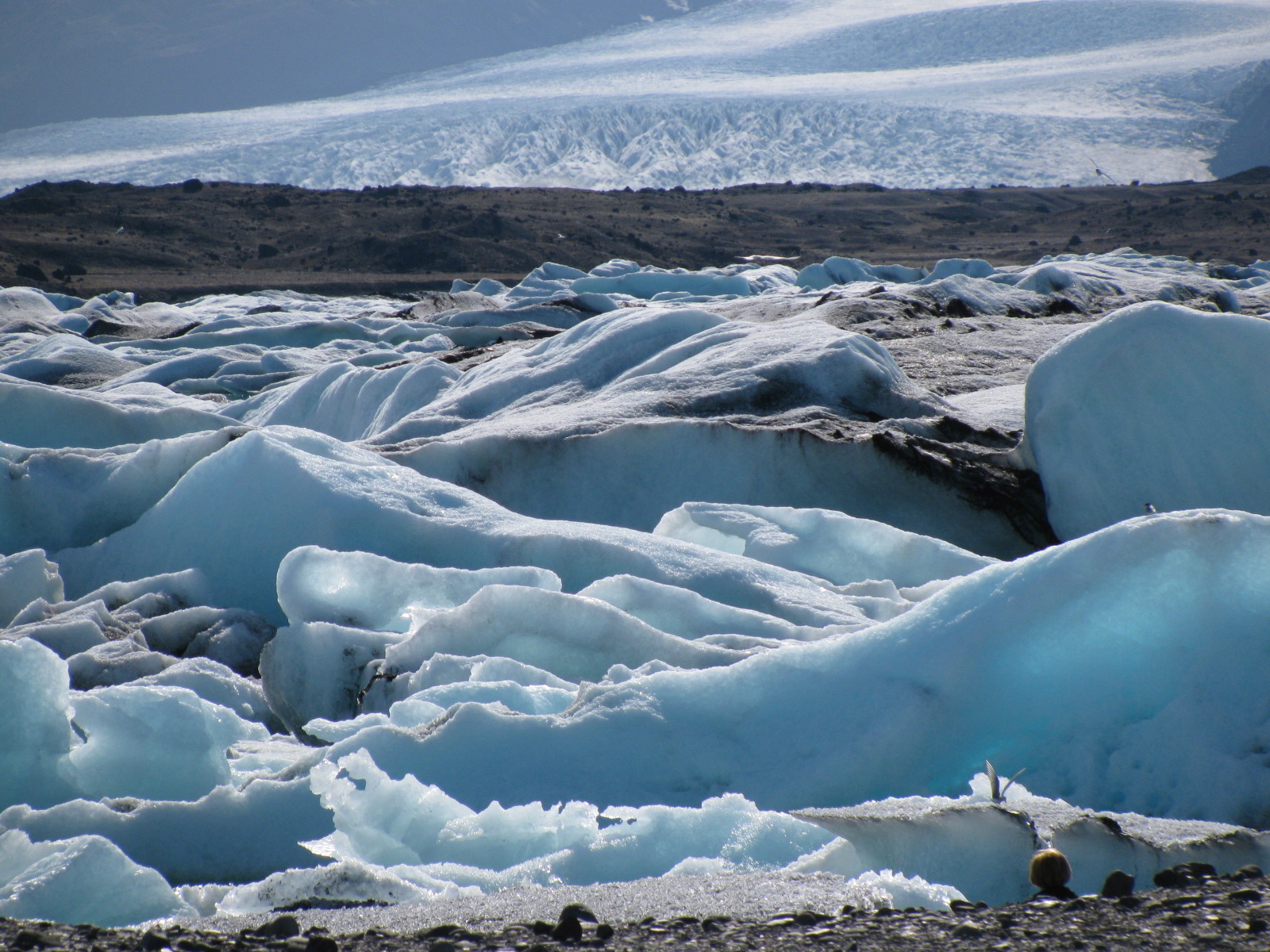 Iceland15