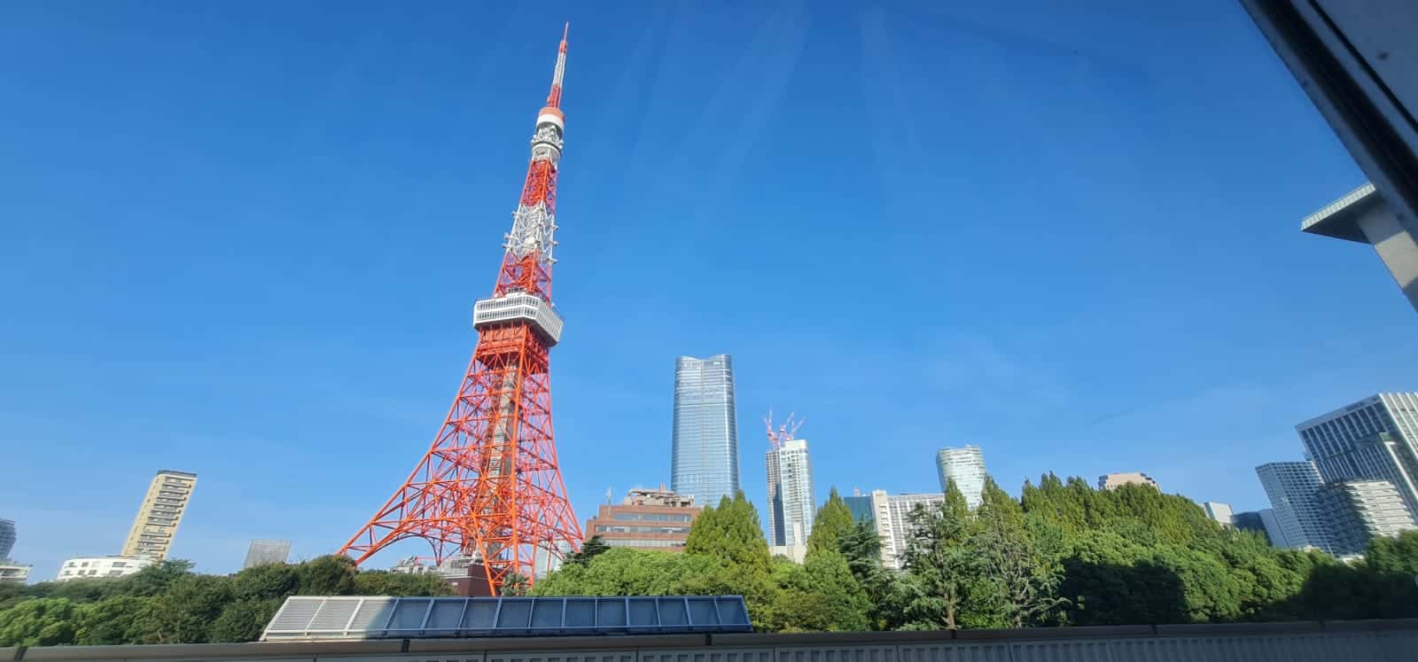 WhatsApp Image 2025-09-01 at 10.20.55